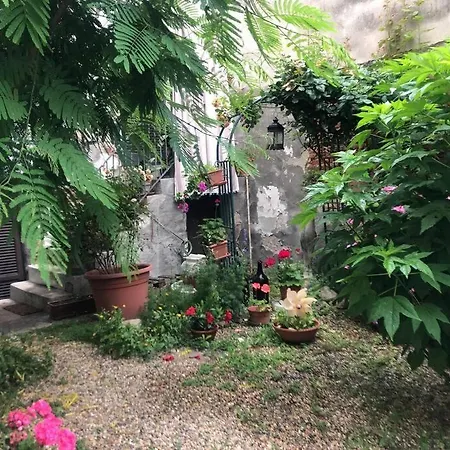 Alba Da Gio